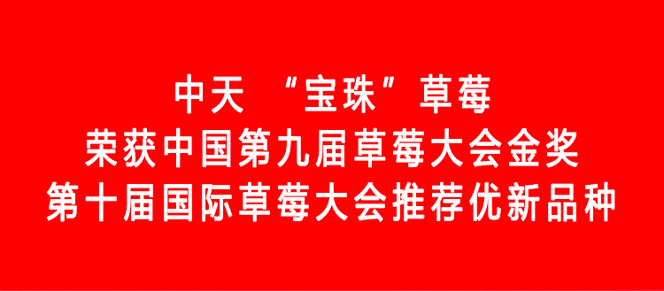 草莓1920網(wǎng)50像素2025年3月12日網(wǎng)頁_01.jpg