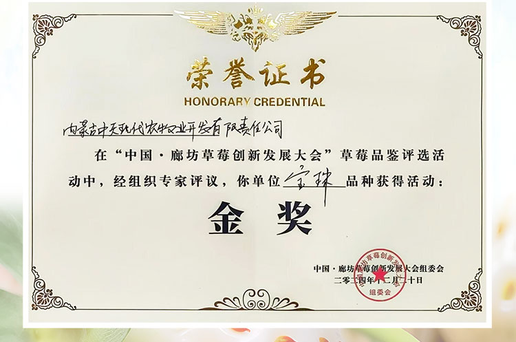 草莓1920網(wǎng)50像素2025年3月12日網(wǎng)頁_03.jpg