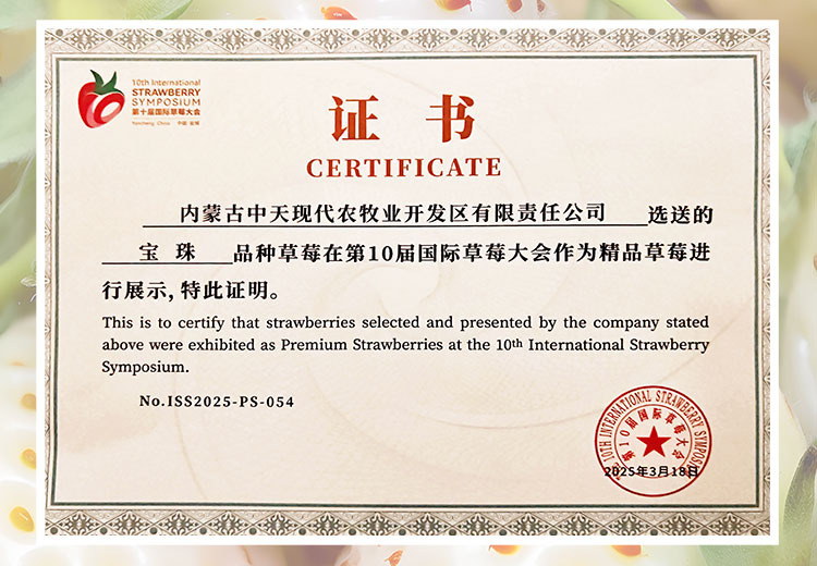 草莓1920網(wǎng)50像素2025年3月12日網(wǎng)頁_04.jpg
